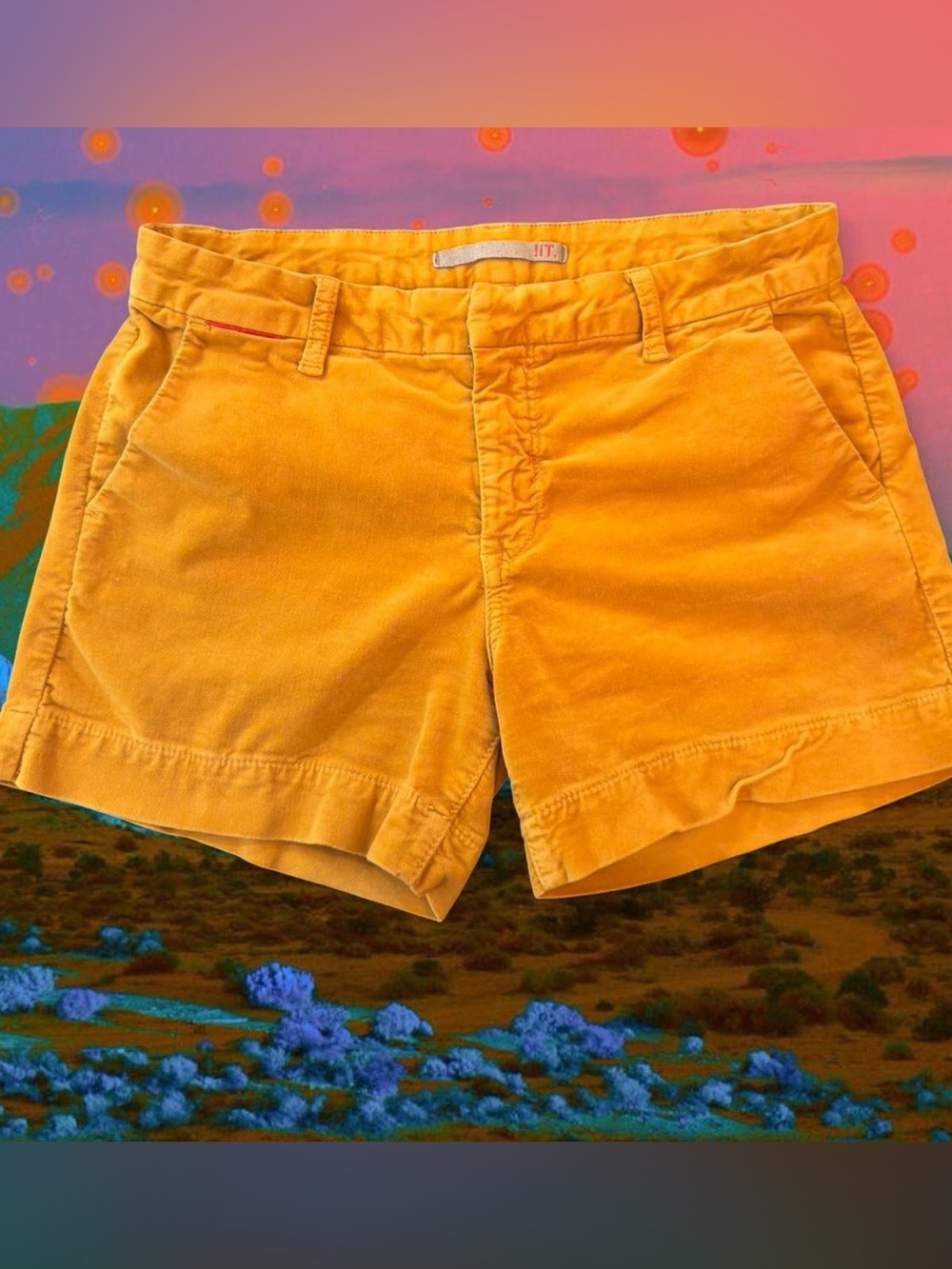 Bright Yellow Corduroy Women's Shorts